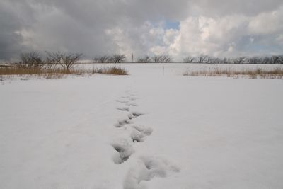 荒川の川岸.jpg