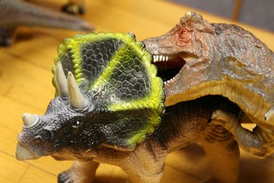 ティラノサウルス対トリケラトプス.jpg
