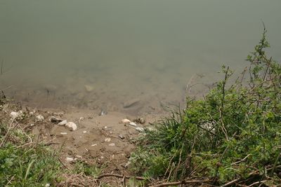 荒川水面（葛籠山）.jpg