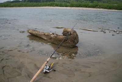 荒川の水質.jpg