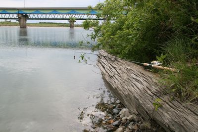 荒川橋.jpg