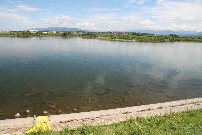 漁区最下流（河口付近）.jpg