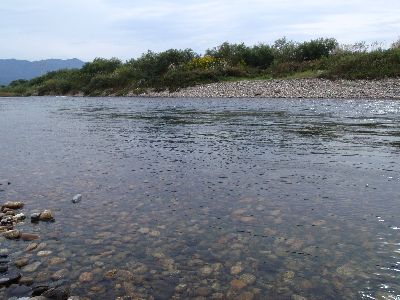 ９番ポイントの流芯.jpg