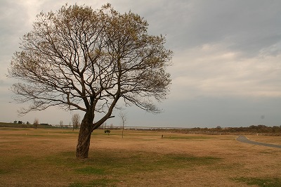 荒川ゴルフ場.jpg