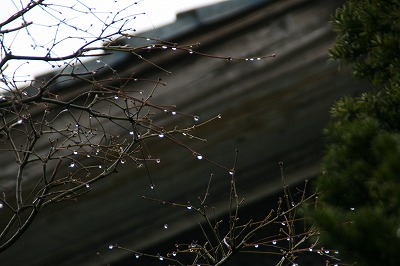 雨模様.jpg