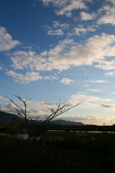 荒川の青い空.jpg