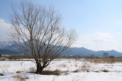 荒川の風景.jpg