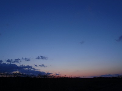 荒川夕景.jpg