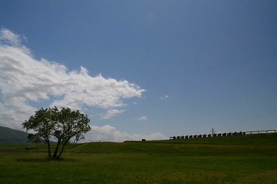 荒川の緑と青空.jpg