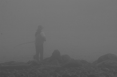 霧の荒川.jpg