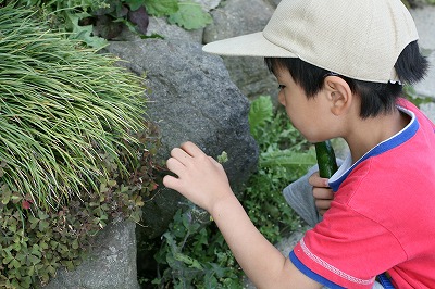 道草してる２号.jpg