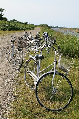 荒川で自転車.jpg