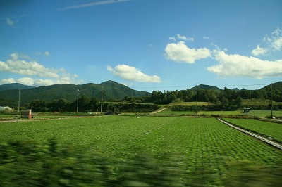 小海線からの風景.jpg