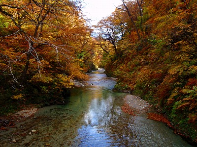 荒川の源流.jpg