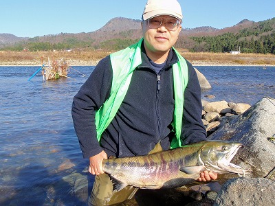 山形県のＩさんとオス鮭.jpg