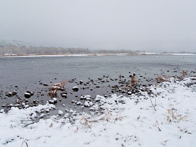 荒川雪景色.jpg