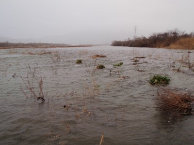 増水の荒川.jpg