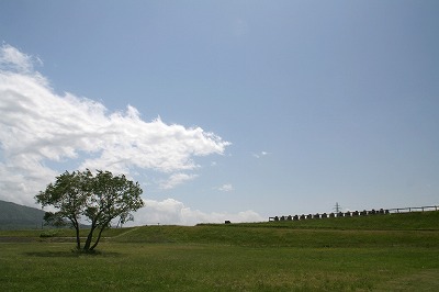 去年の荒川の風景.jpg