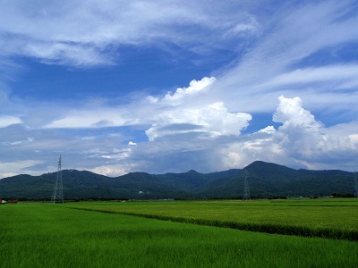 荒川の田園風景.jpg