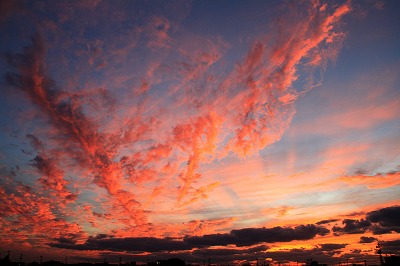 荒川の夕景.jpg