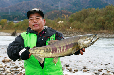 愛知県Ｎさん.jpg