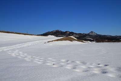 荒川河川敷.jpg