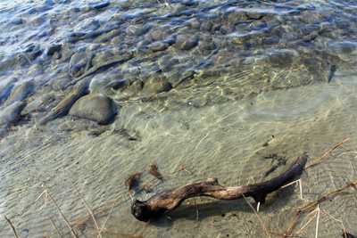 川底の砂.jpg
