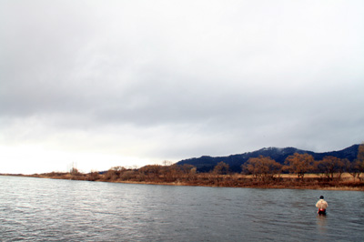 荒川サクラマス（桜鱒）釣り.jpg