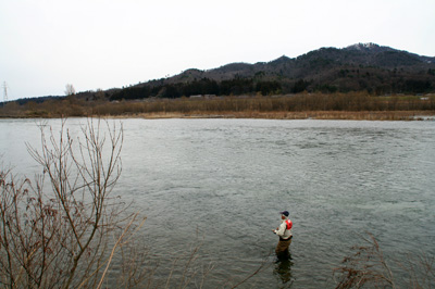 荒川サクラマス（桜鱒）釣り.jpg